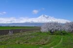 Хор Вирап, Нораванк и Татев: большой маршрут юга Армении — изображение 9
